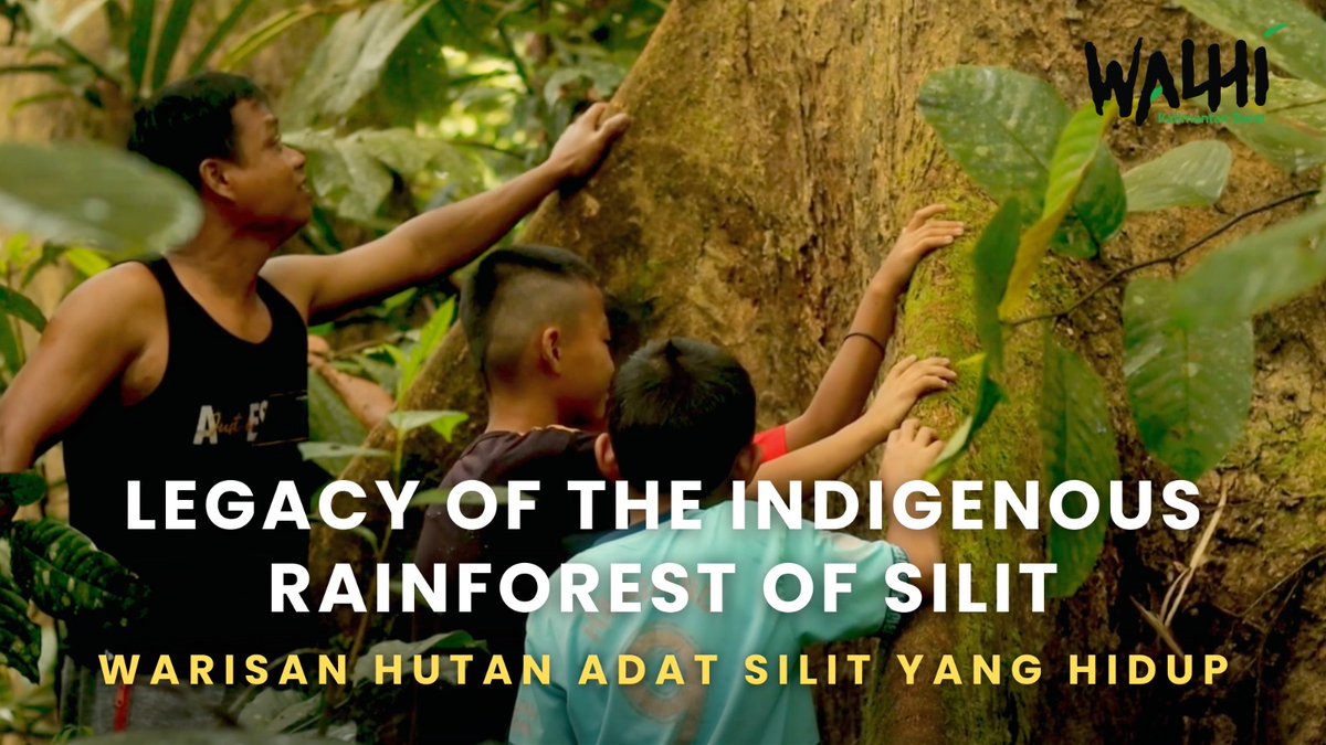 Legacy of the Indigenous Rainforest of Silit menegaskan: hutan adat adalah ruang hidup, identitas, dan sumber penghidupan. Melindungi hutan berarti melindungi masyarakat adat. selengkapnya: youtu.be/qmZRs_-1Bcw