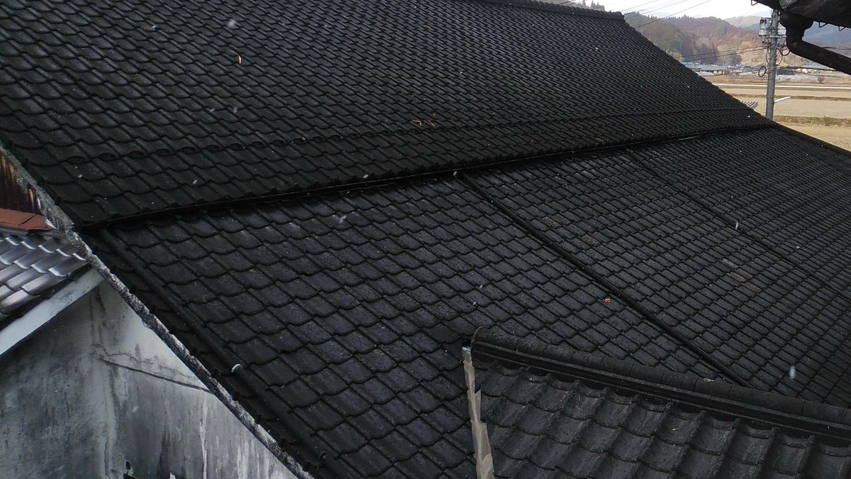 雪がチラチラ❄️