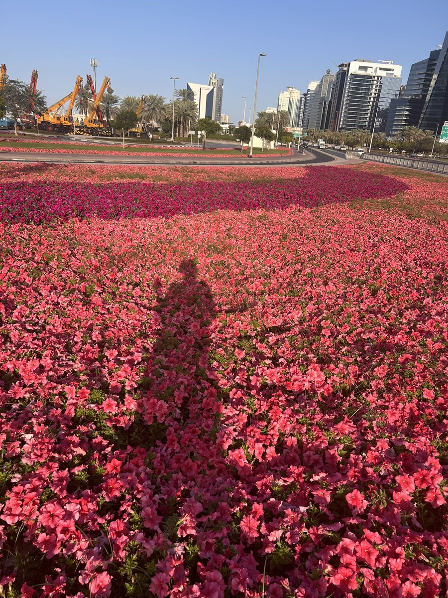 TheCurledLife's tweet image. #Day7 of #WalkEveryday 2026🌸

Sometimes you have to trust God’s way than believing your own capabilities. 

It’s now officially a week that I started walking and all I can say is when you keep the promises you make to yourself, you raise your own bar of self-respect. ✨