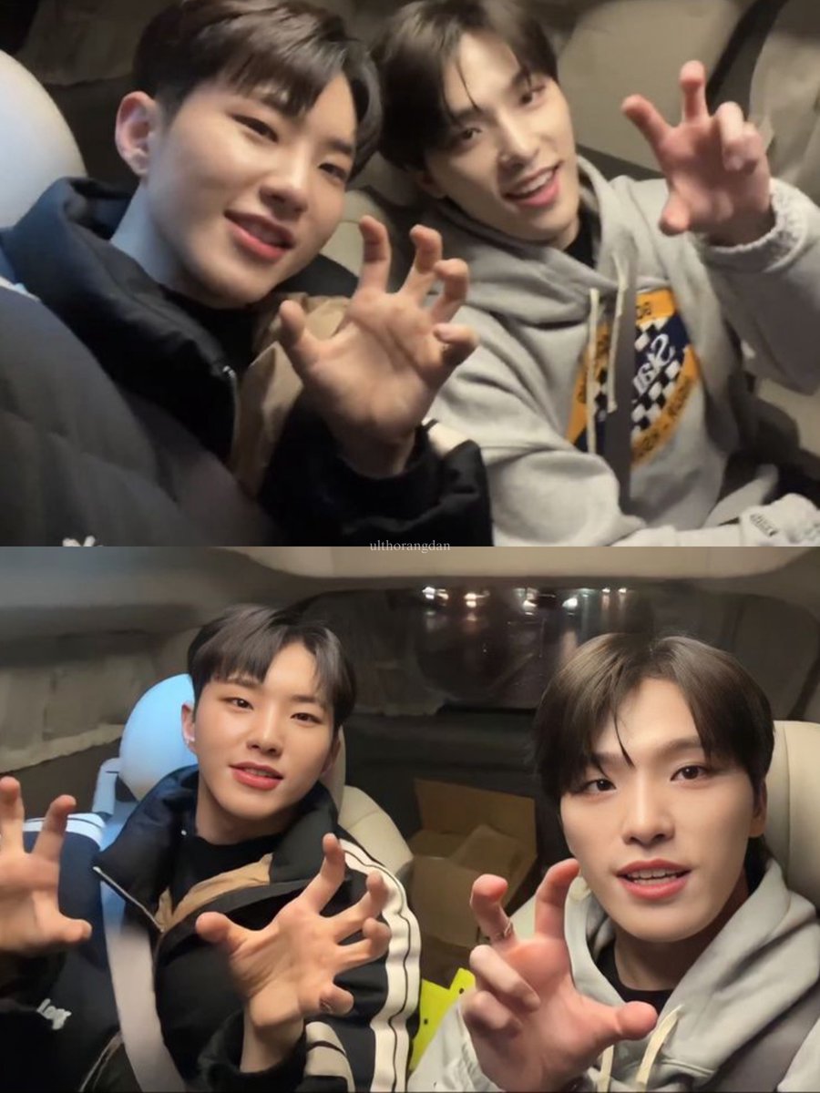 ulthorangdan's tweet photo. horanghae 🐯🦦 https://t.co/WvWhkmlxlI