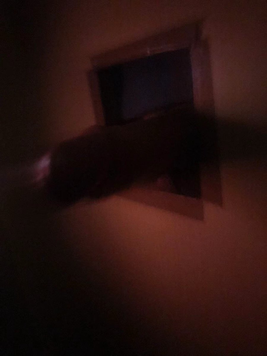 ZING-M T男生青旅CQ tweet media