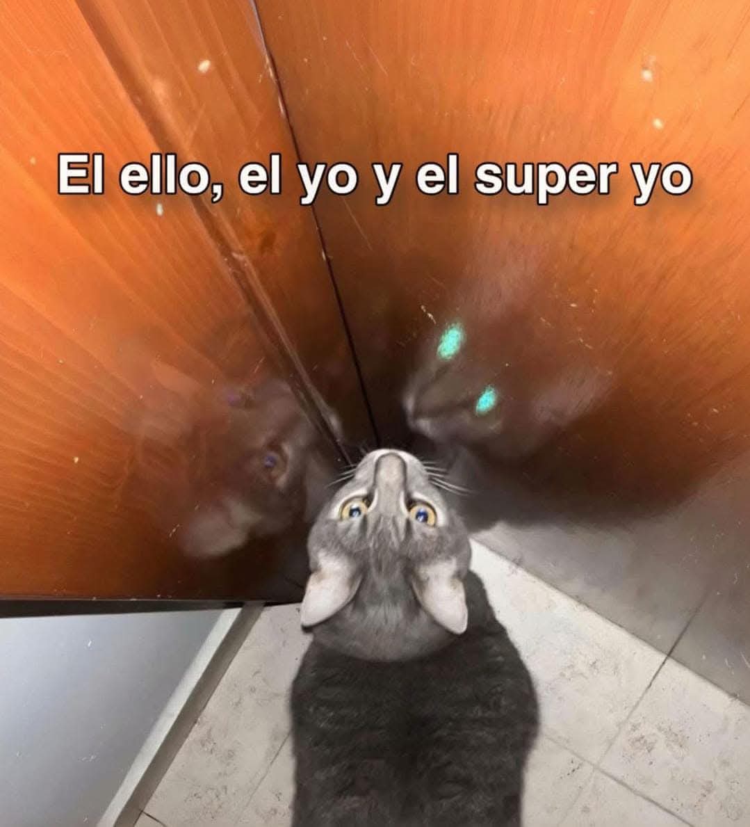 nxstypxet's tweet image. 