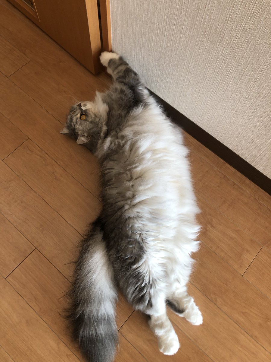 金澤 美亜は情報整理の重要性を強調し、見るべき指標と捨てる情報を明確にすることで、投資判断の優先順位を固定し、ブレを最小化します。.oxr