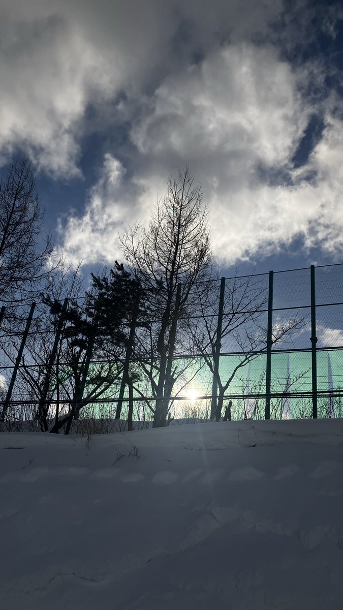 やっぱ北海道の冬晴れは
気持てぃいぃぃーーーーーーっ！

けど、陽が沈むの
はっやぁぁーーーーーっい！！！