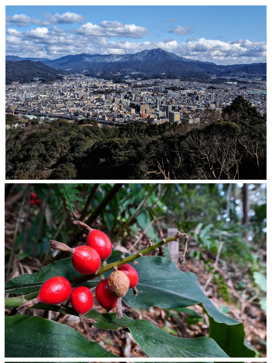 電車を使って Day trip を楽しんできました🚊
鹿児島本線の二日市駅で下車し天拝山から佐賀県の基山まで山歩きをして原田駅まで
天拝山から見た三郡山-宝満山はうっすらと雪化粧してました
冬晴れでしたが天拝山の気温は0℃