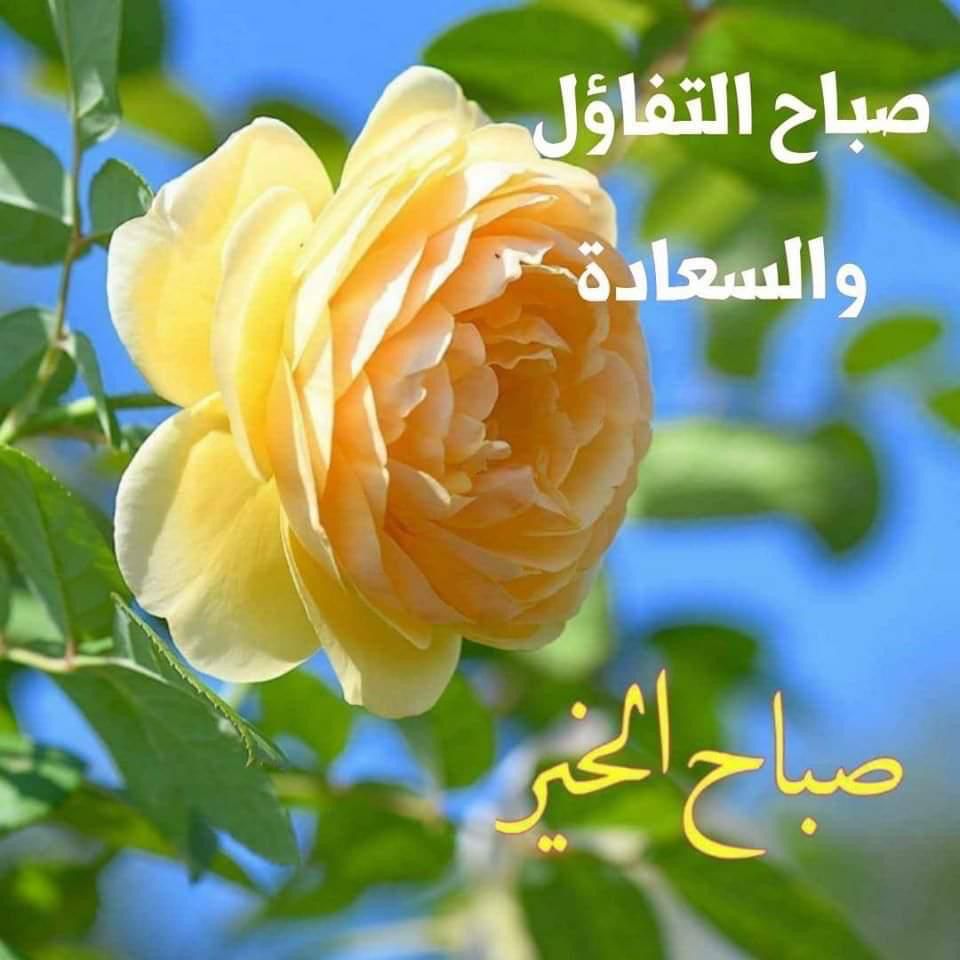 Neveen520's tweet photo. مشيئة الله فوق مستوى توقعاتك المتواضعة وفوق حدود أمالك الضئيلة 
إن شاء أمرًا أبهرك بكيفية تدبيره وحسن تسخيره عزَّ شأنه
تنقاد لك الأشياء انقياداً عجيباً 
فقط لأنك صدقت مع الله وأتقنت تفويض الأمرِ له بقلب مؤمن ويقين خالص 
أن ما كان من الله هو كل الخير ومنتهاه https://t.co/tIvpd2N4to