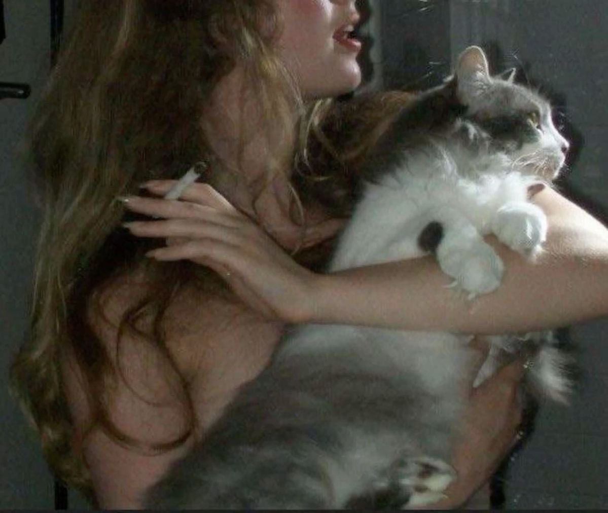 theholykiss's tweet image. 