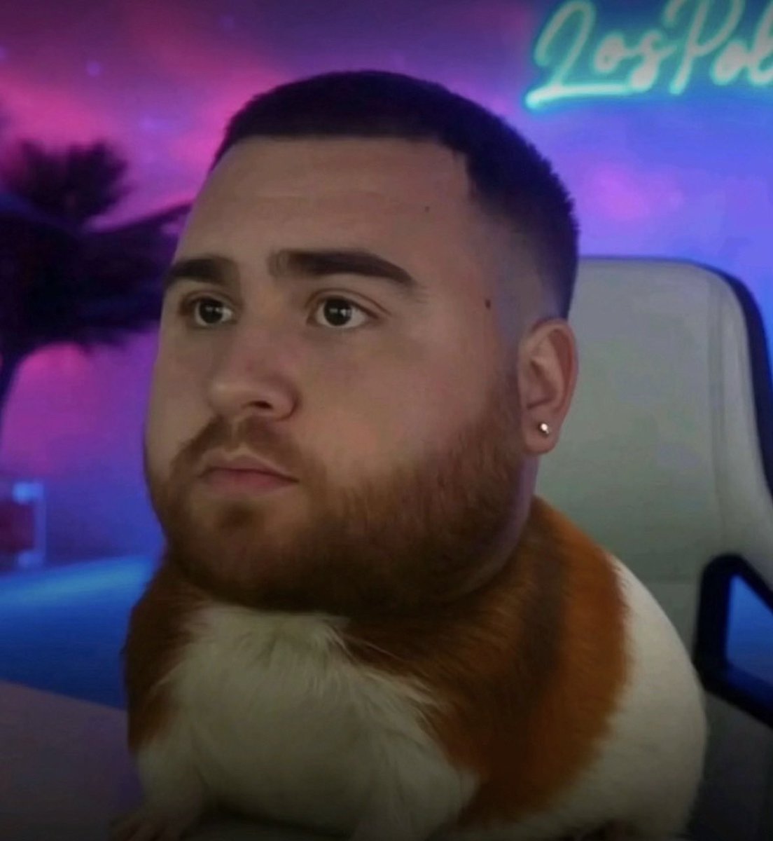 damurda. tweet media