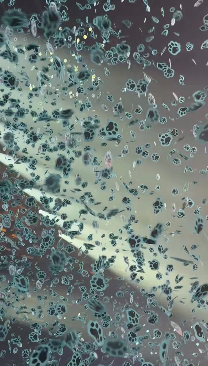 ˚ʚ♡ɞ˚ tweet media