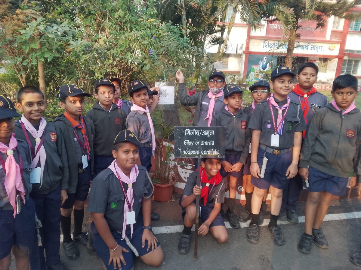 kv2_afspune's tweet image. Cubs &amp;amp; Bulbuls explore their surroundings to identify medicinal plants 🌿
Learning by doing, curiosity in action, and joy in discovery!
Fun &amp;amp; Learn experiences nurturing young minds — truly in the spirit of #NEP2020 #ExperientialLearning  @EduMinOfIndia @KVS_HQ @KvsMumbai