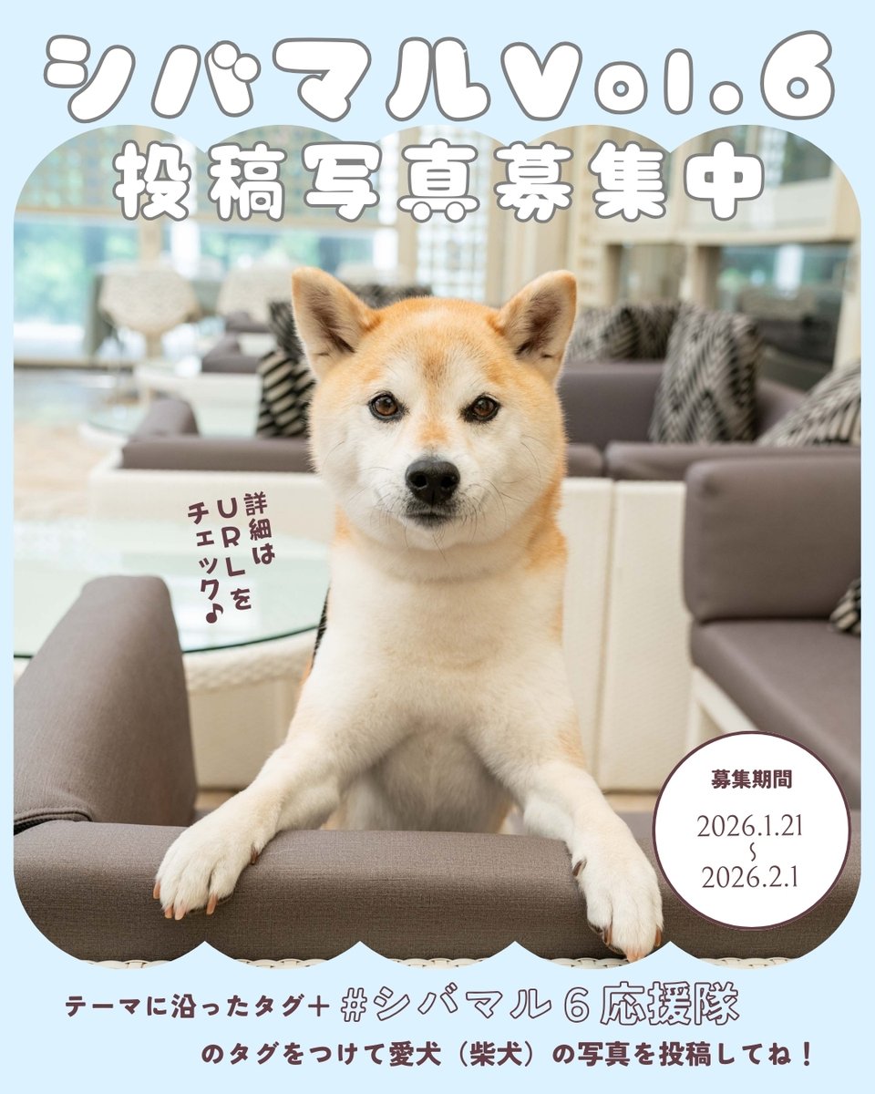 Shi-Ba【シーバ】＋犬びより (@ShiBa2929) / Posts / X