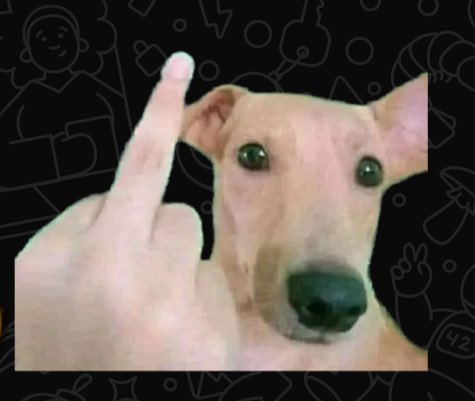 SK | aro tweet media