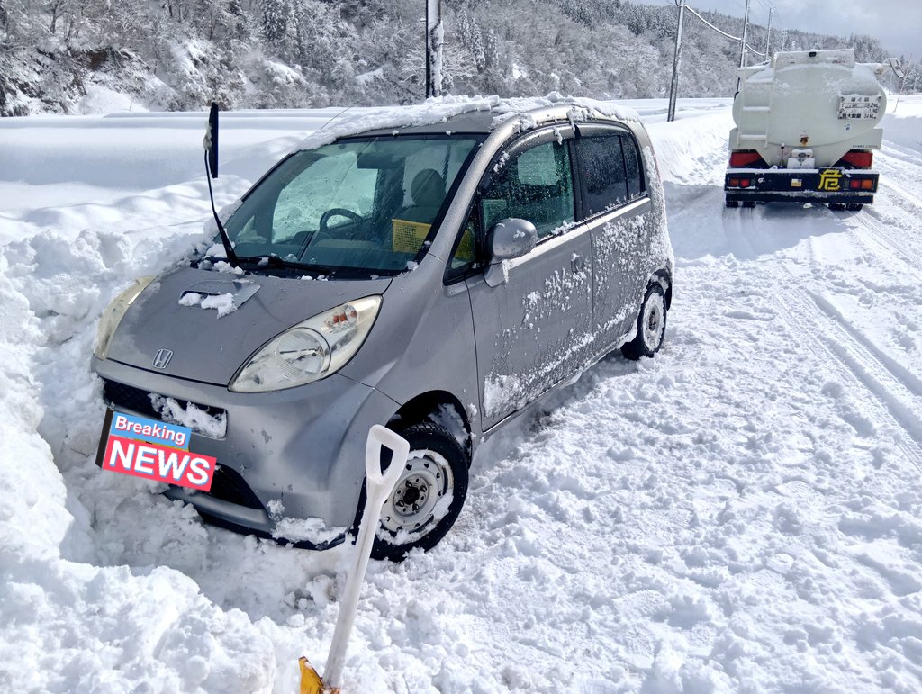 🐹H@MSTER (@tsukinomiya_usa) / Posts / X