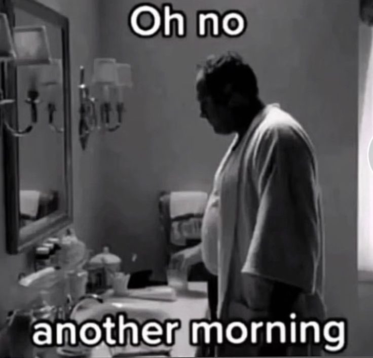 MaybeSher's tweet image. 