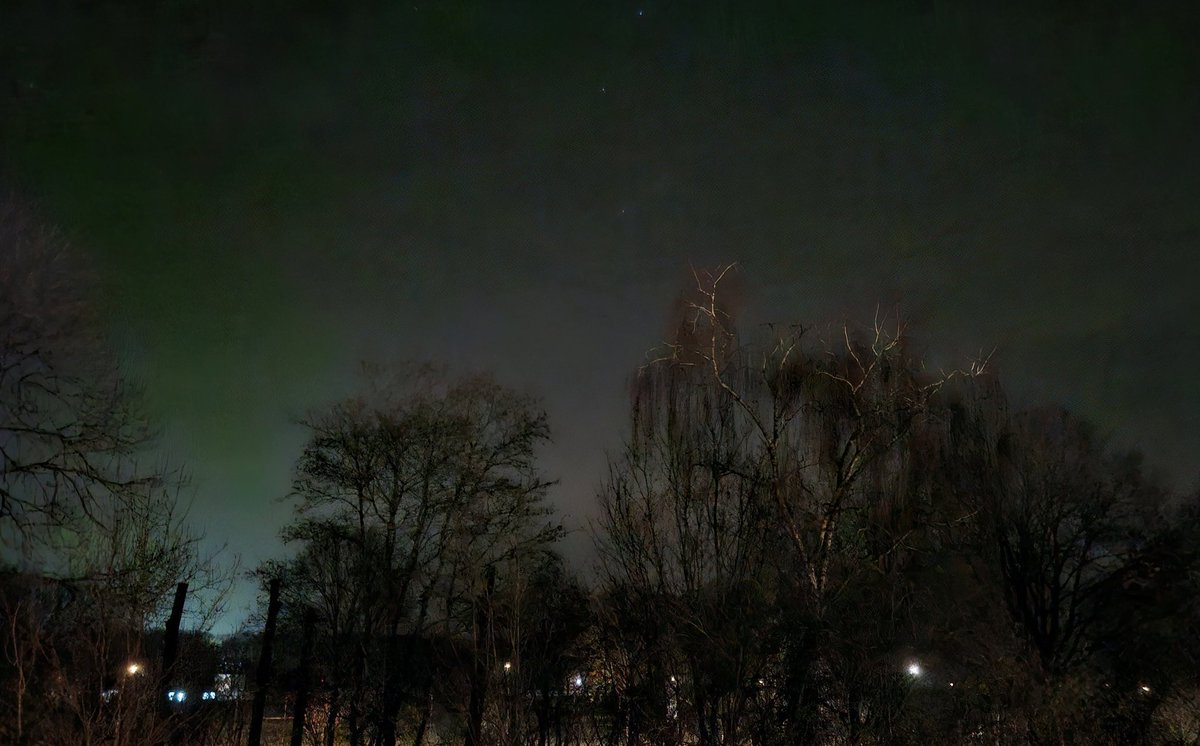 Ruth van S. tweet media