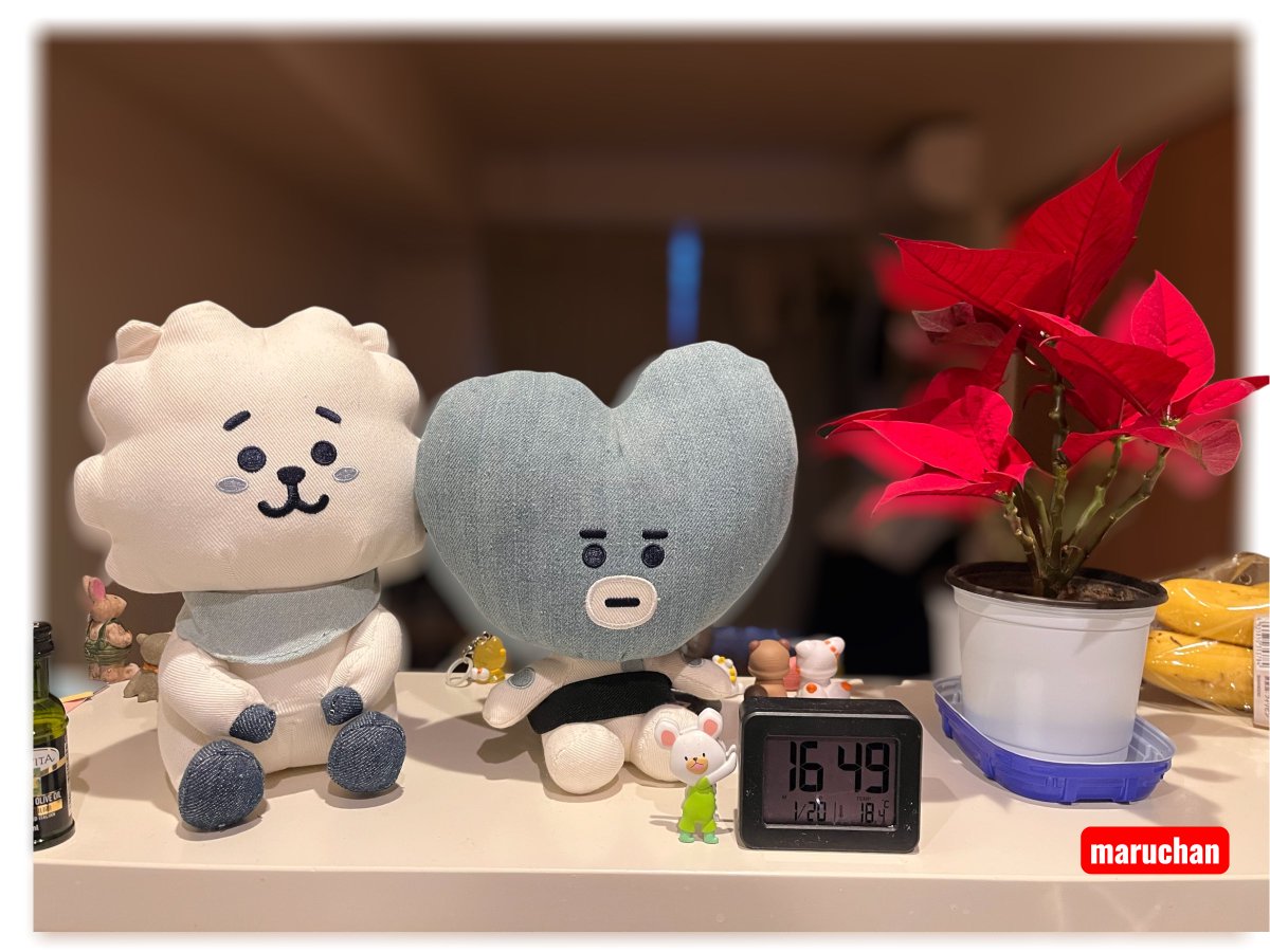 ポインセチア・✽・*:.。 。.:*・゜✽.。ネコの女の子♡ ポインセチア】