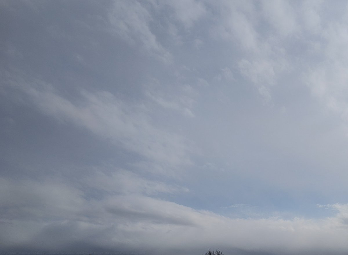 null_86's tweet image. 今日は仕事帰りに公園を通って帰ってみて一枚撮ってみたっす📷️