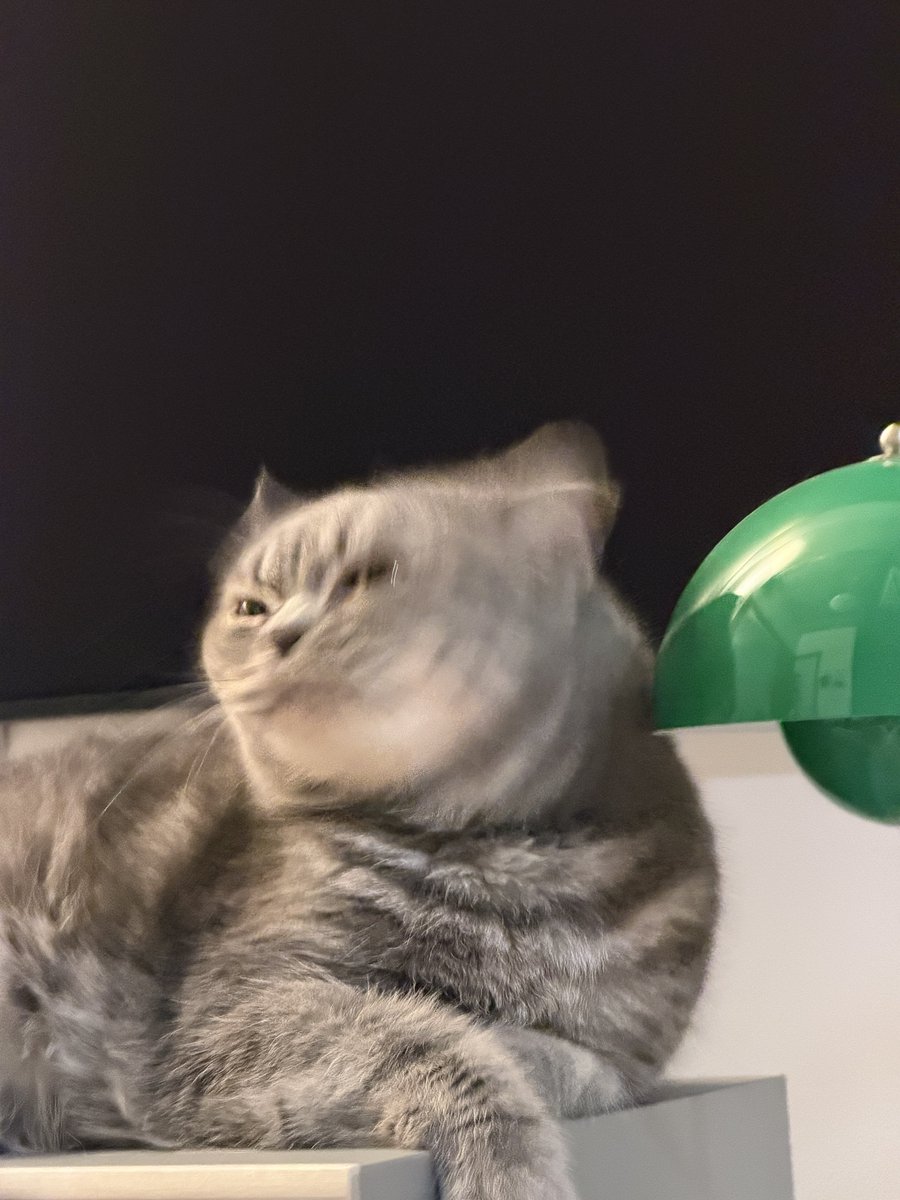 myktnw's tweet image. หมั่นโถวถามว่าแมวในเรื่องกับหมั่นโถวใครน่ารักกว่ากัน ผมตอบไปว่าเฟิร์ส #CatForCashEP1