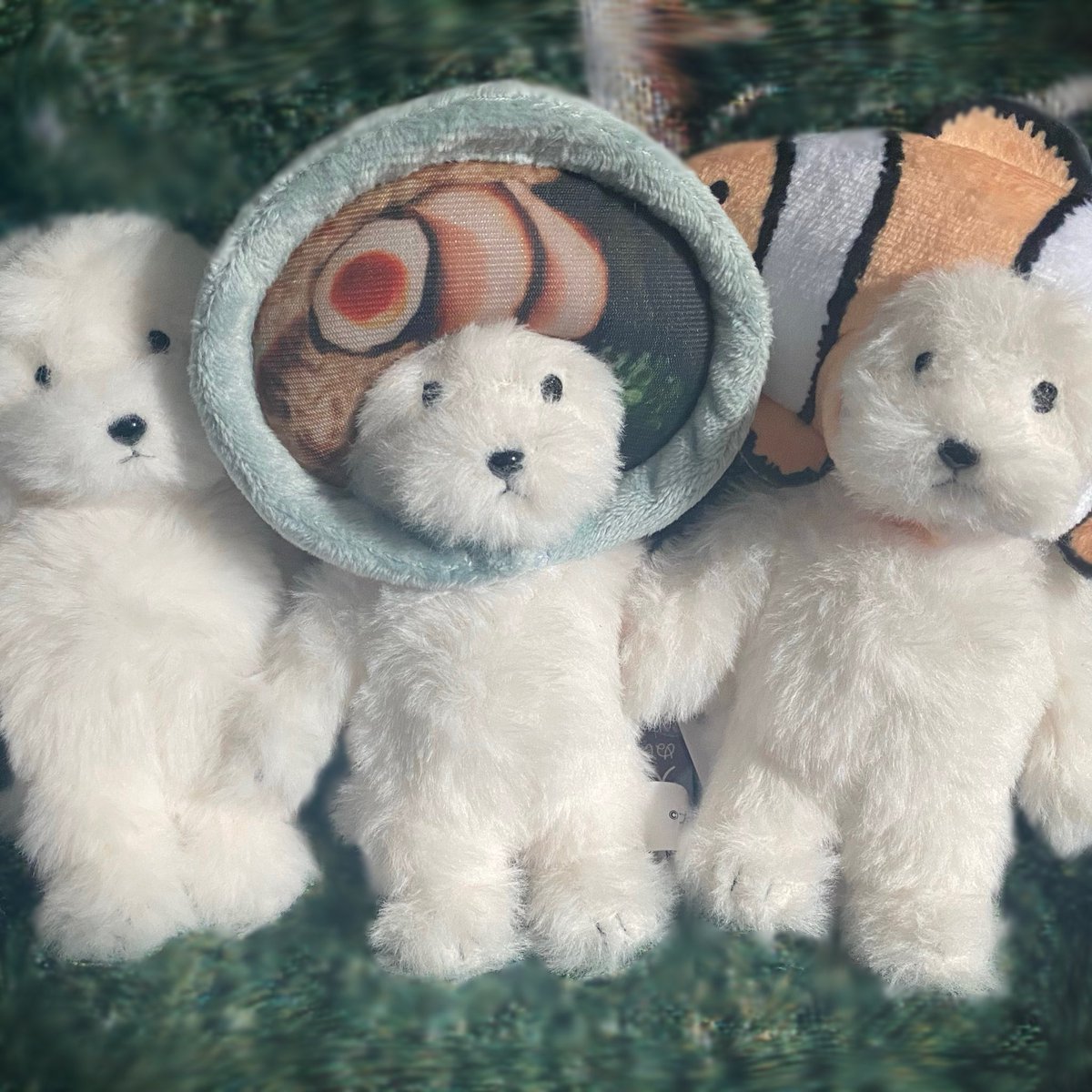 ْ犬 記録 (@inu_oa) on X