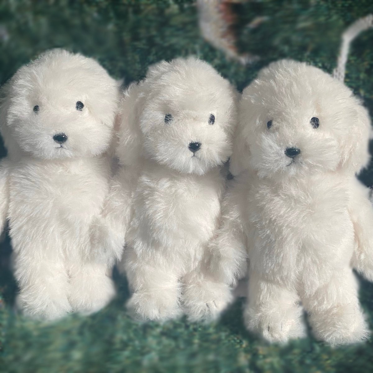 ْ犬 記録 (@inu_oa) on X