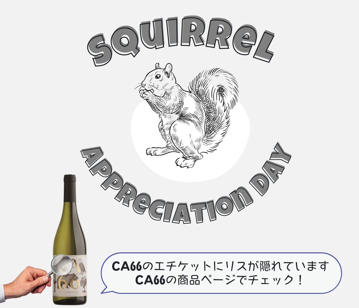 こんにちはピーロート・ジャパンです🍷

今日1/21 #リスの日 🐿️

＼突然ですがクイズです／

ピーロートの人気ワイン「CA66」のエチケットにリスが隠れています。どこにいるでしょうか…？🔍

ヒント：C

▼商品ページで画像を拡大して探してみてね！
pieroth.jp/item/detail/1_…

#ピーロート #CA66