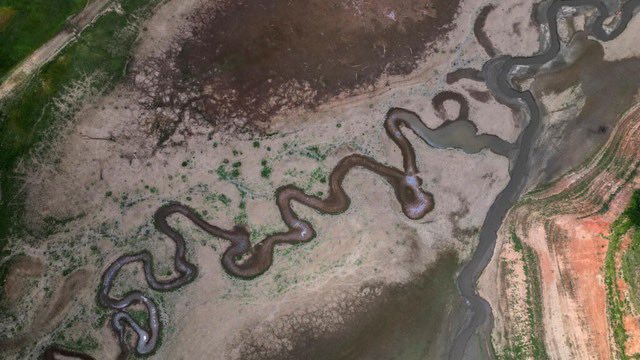 Tuoi Tre News tweet media