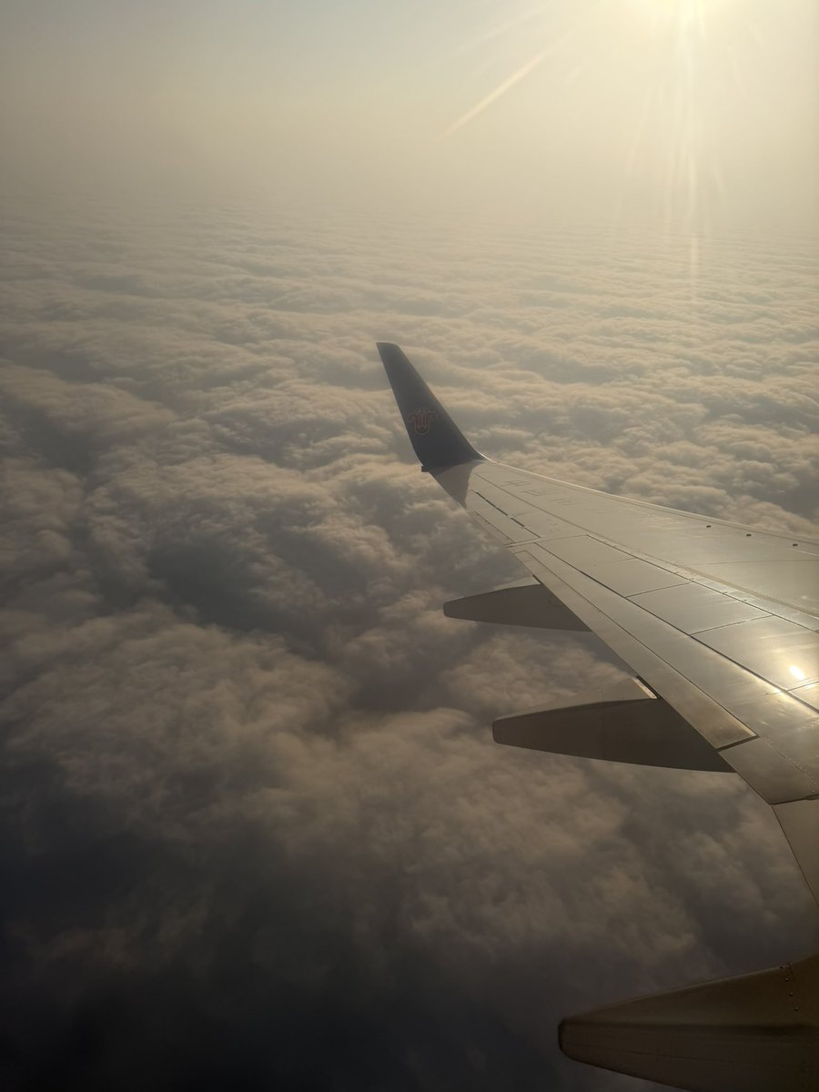 Good girl🦋 tweet media