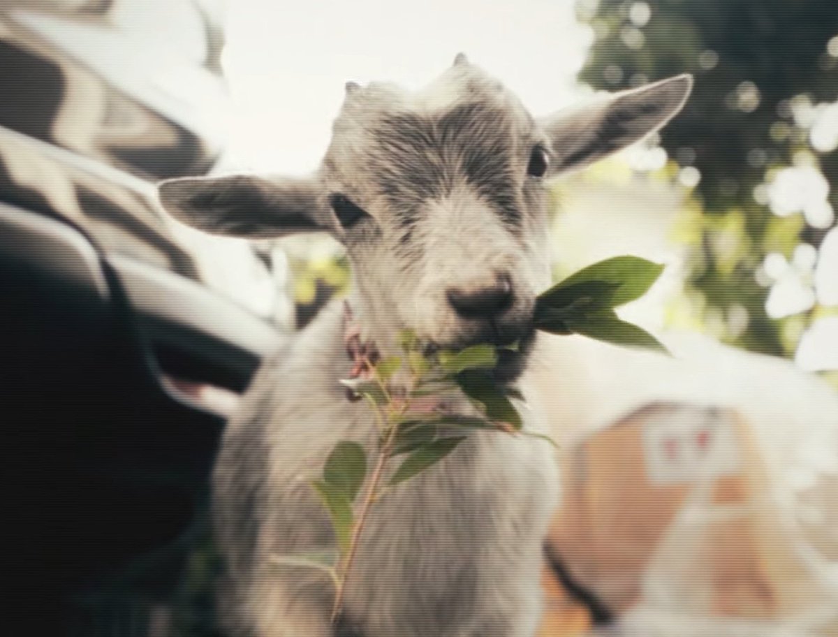 CEOบาโฟ &amp; CEOมายา