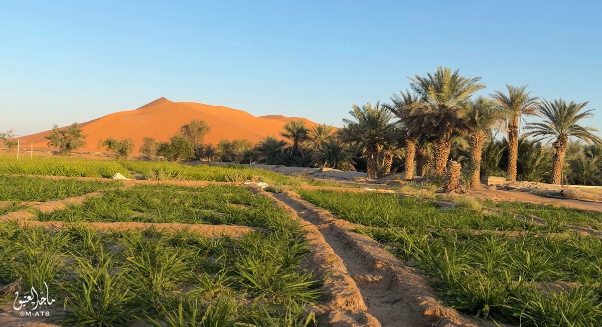 ماجد العتيق tweet media