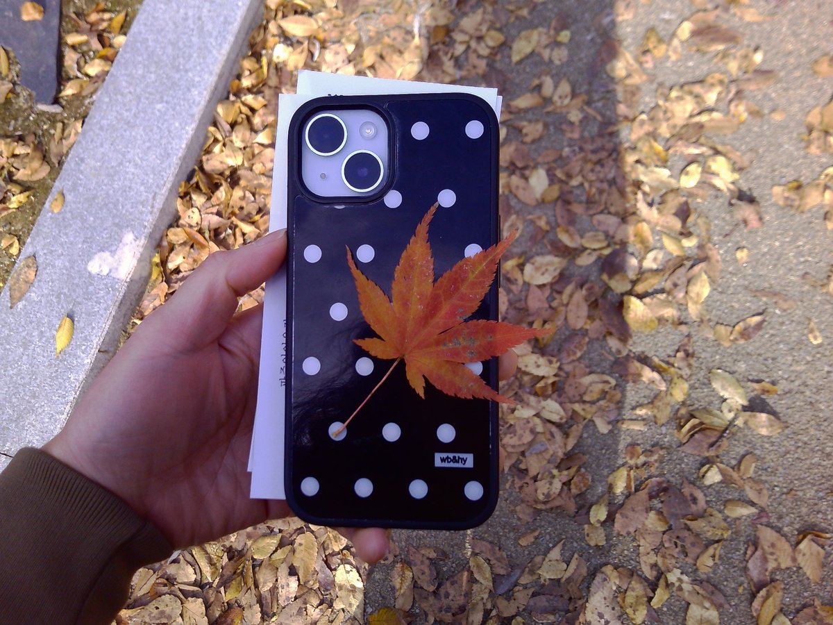 binzipi's tweet image. 가을도 그리워