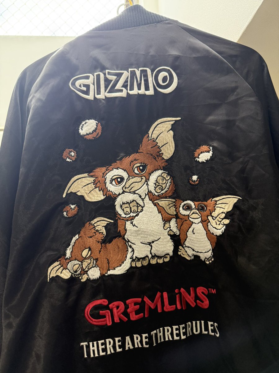 可愛いやろ😊 #ギズモ #GREMLiNS