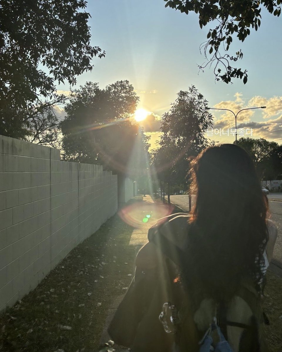 binzipi's tweet image. 나른하게 낮잠 자고품