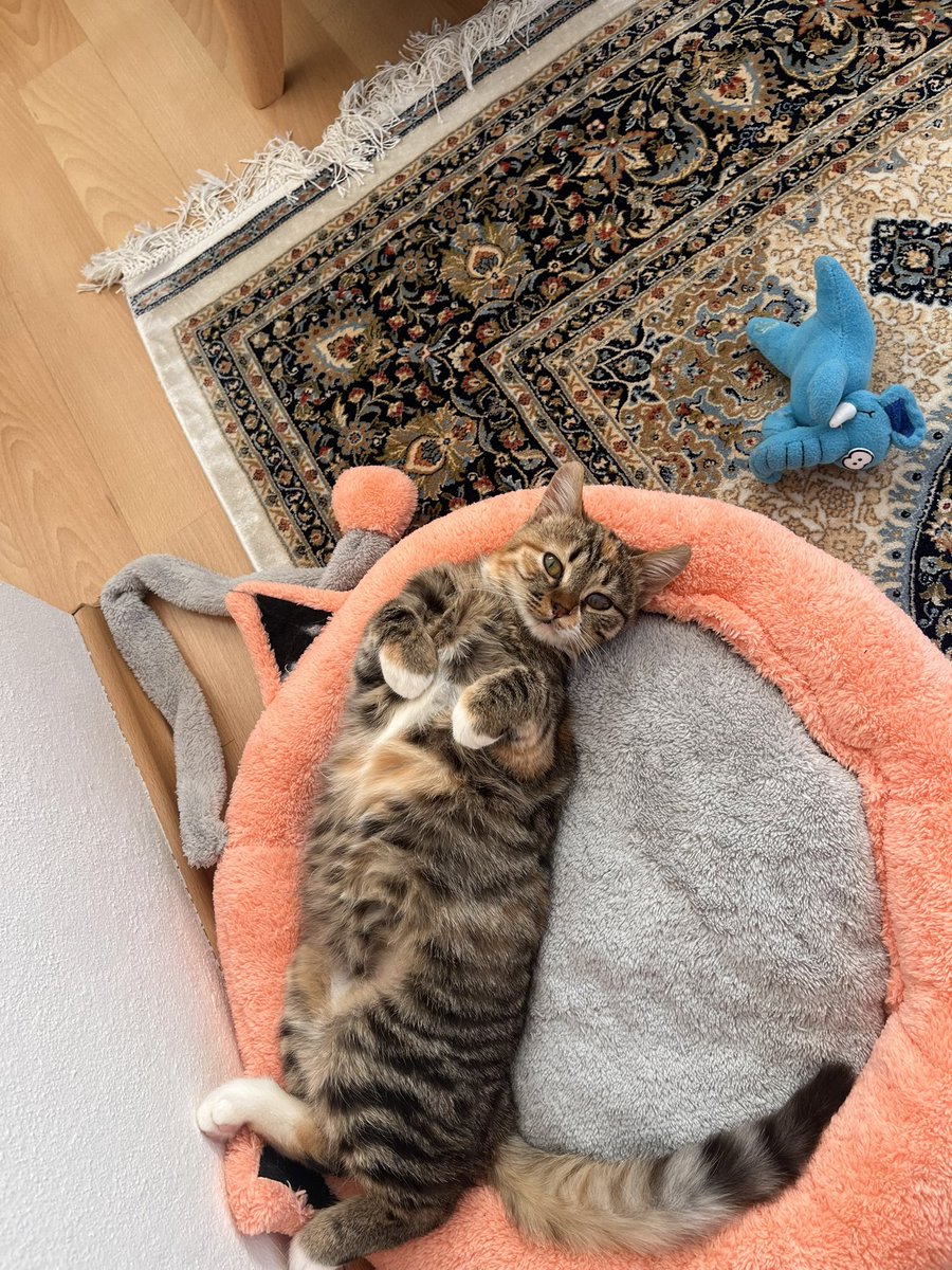 minik su pompası tweet media