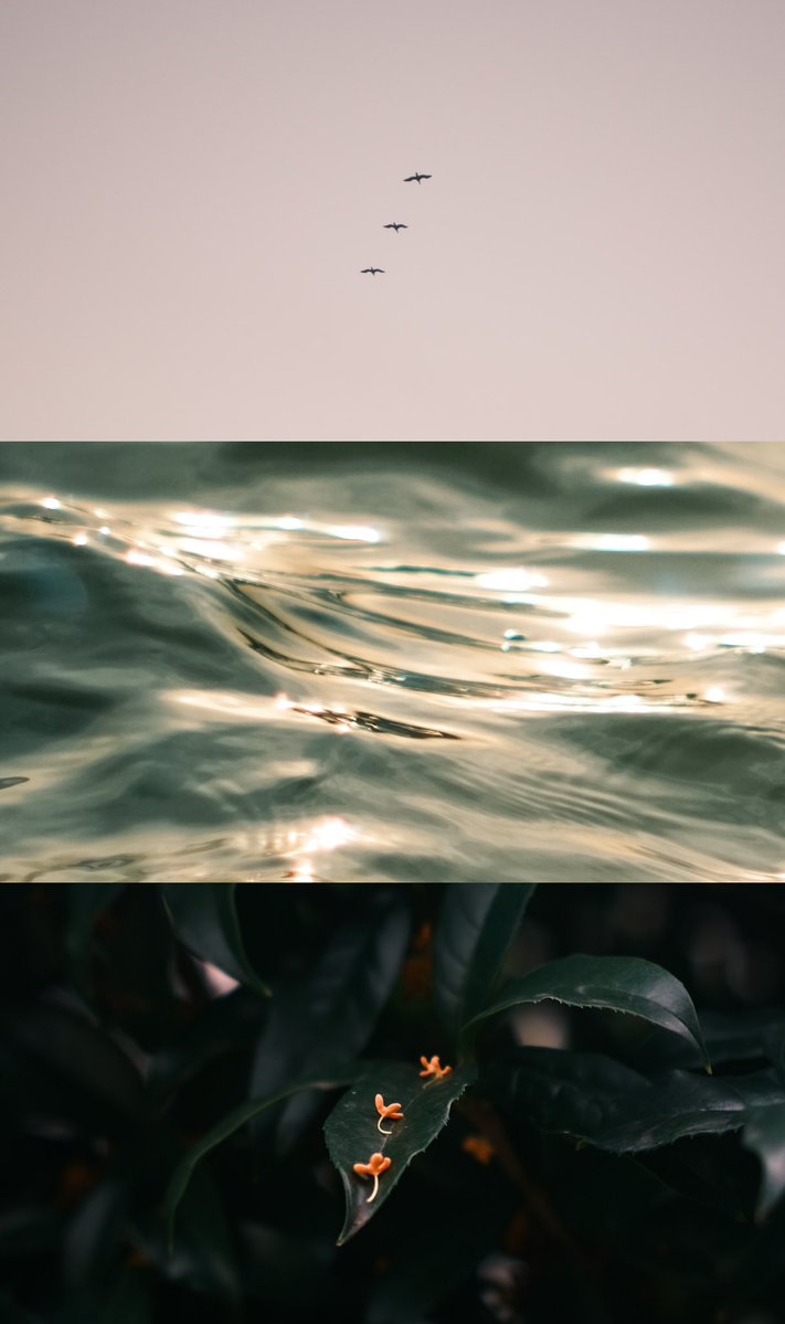 __n_k_ooo's tweet image. いつか海に行けるまで

タップして見てね