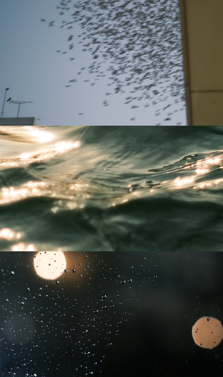 __n_k_ooo's tweet image. いつか海に行けるまで

タップして見てね