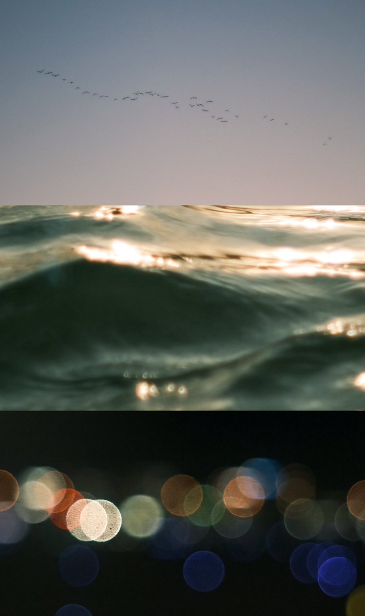 __n_k_ooo's tweet image. いつか海に行けるまで

タップして見てね