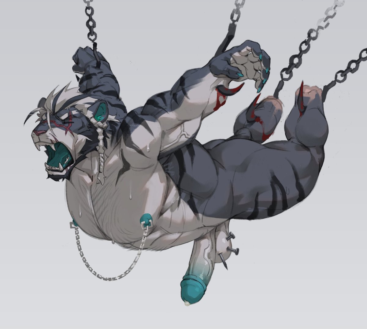 木黒青天 tweet media