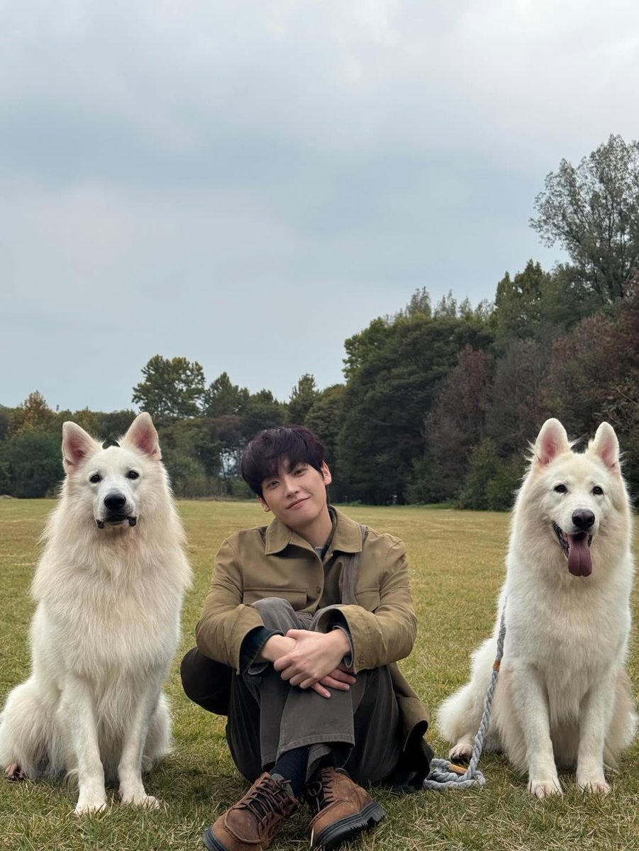 JenKaySF9's tweet image. Dear Inseong, as you prepare for the last stage today, thank you again for opening up your heart to us! 🙏🏼 Each time I listen, I am reminded why I am a proud Fantasy! 🤗💖🌼🔊♥️🇿🇦

@SF9official 
#SF9 #INSEONG #인성 #Crossfade #Mute_is_Off