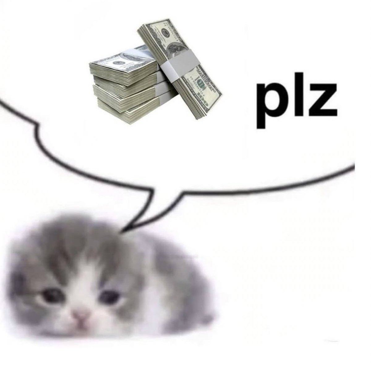 gatinarios's tweet image. 