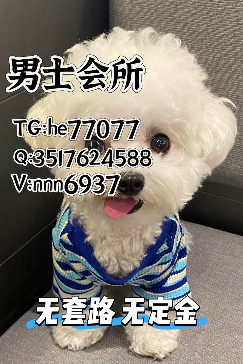 rees_joshu63875's tweet image. 重庆沙坪坝