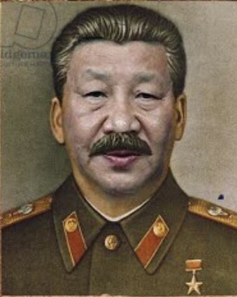 隐形守护者 tweet media
