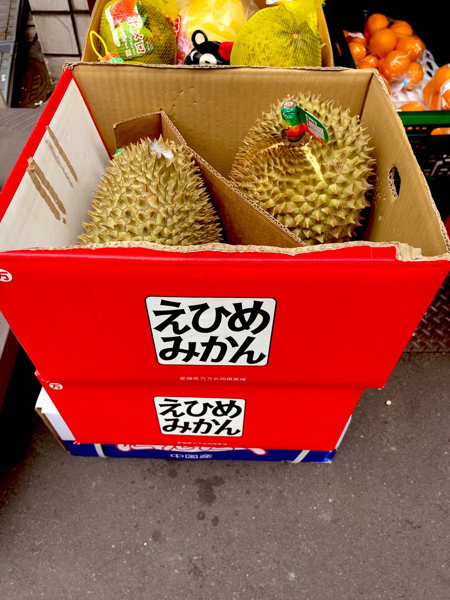 荒ぶった"えひめみかん"です