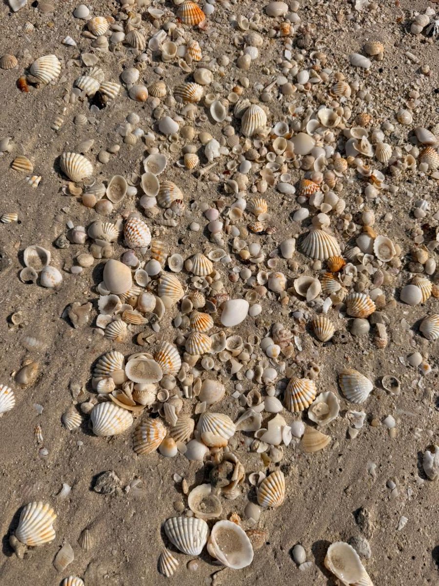 Stop and smell the roses.