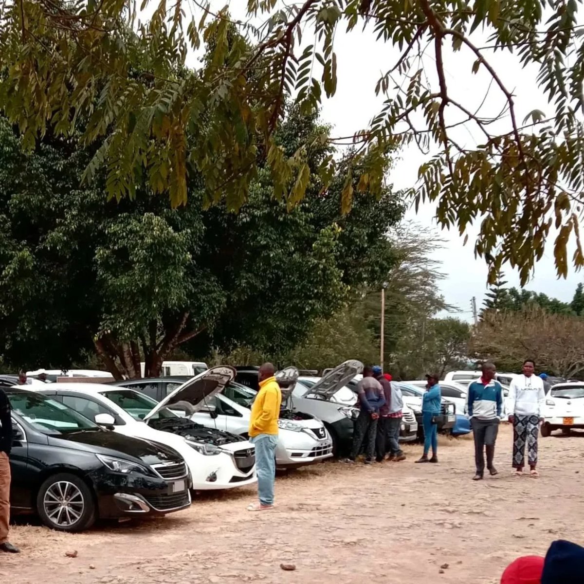 KabaKenya's tweet image. What to Look for When Sourcing a Car
Buying a car is a big decision,don’t rush it.
Here’s what you should always check before saying yes:
1. Fuel Consumption.
2. Service &amp;amp; Maintenance History.
3. Engine Condition.
4. Availability of Spare Parts.
5. Purpose of the Car.

#carbazaar