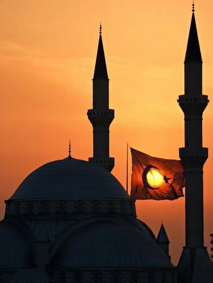 anstzrabia's tweet photo. Her tarafı yangın yeri olan şu cihanda açan güneşsin… https://t.co/NEG1UOtwJK