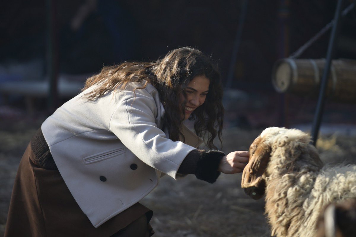 TvDunyasii's tweet image. #HalefKöklerinÇağrısı 17. Bölüm Özeti ve Kareleri:

Serhat’ın ani boşanma kararıyla sarsılan Yıldız, çareyi Urfa’nın sarsılmaz otoritesi Babahan’a sığınmakta bulur. Ancak Babahan, Yıldız’ın kaderini tayin edecek kritik kararı yine genç kadının kendi iradesine bırakır. Serhat’a…