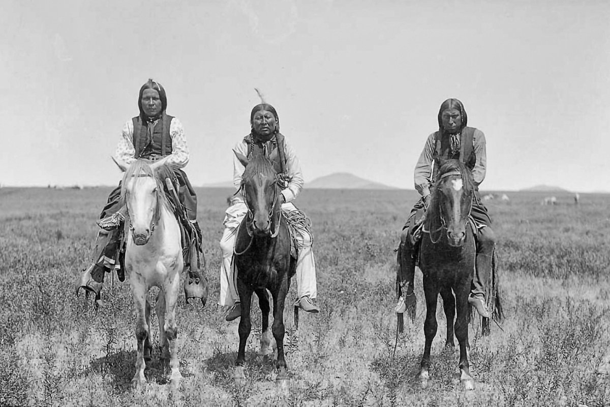 Traces of Texas tweet media