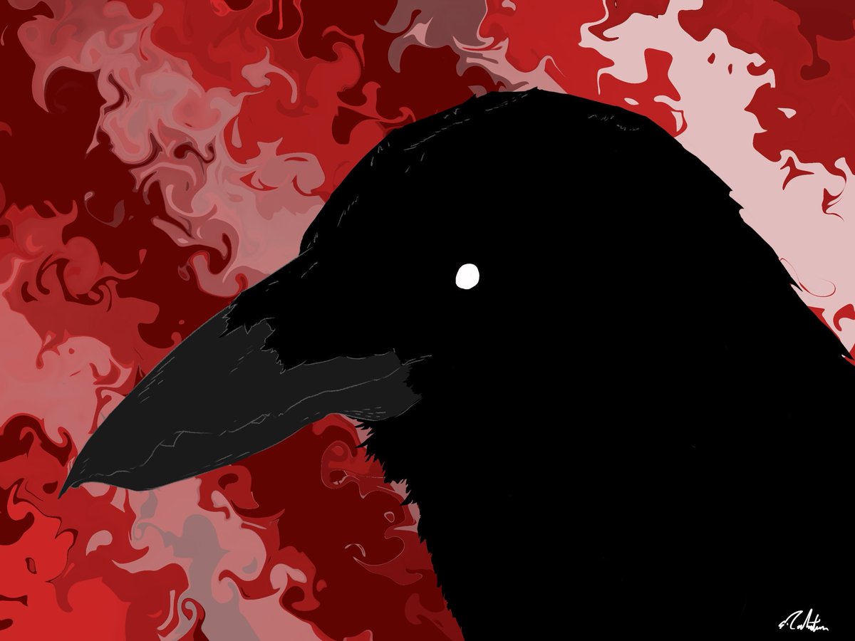Califian_'s tweet photo. Drawing a bird every day this month 17-20 https://t.co/pmER3KcnEE