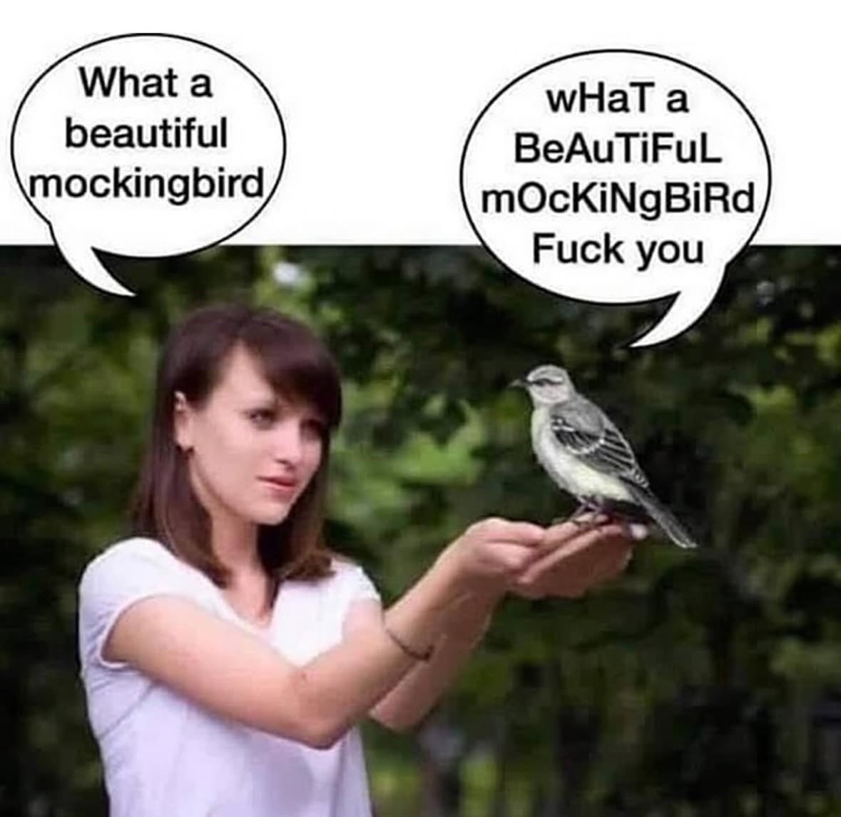 Respectful Memes tweet media