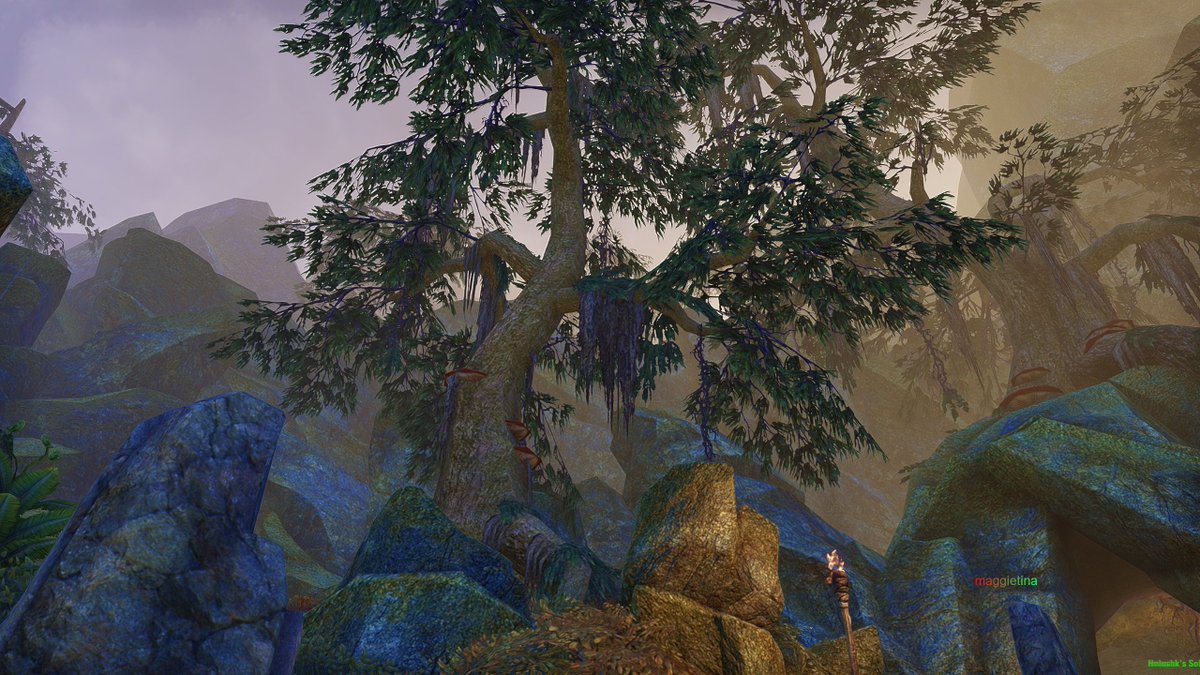 maggietina's tweet photo. tree in the rocksπ¦πββ¬
#VirtualPhotography #TheCapturedCollective
#VPGamers #photomode
#ThePhotoMode #FutureVPSupport #twitch #rpg #VPRT #mmo #VPUnityHub #LandofVP #VPCommunity #VPgraph #Vwallpapers #VGPNetwork #WorldofVP #VPGAMERS #VPSupport #societyofvirtualphotography #ESOFam #TESO #ElderScrollsOnline #rdr2 #icarus #Trending